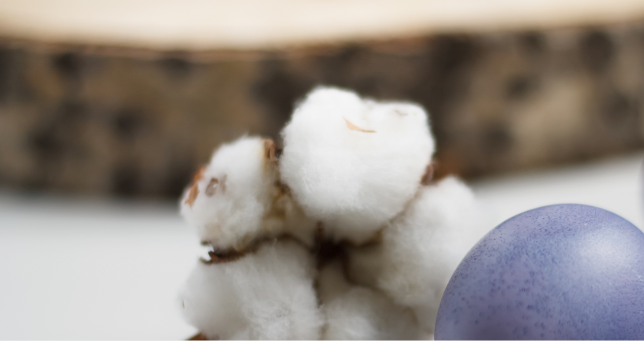 Bannière coton bio