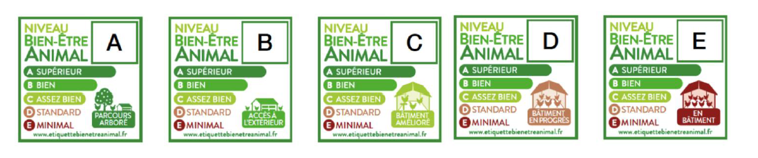 Carrefour S Engage Dans La Transparence Du Niveau De Bien Etre Animal De Tous Les Poulets A Ses Marques Des Groupe Carrefour